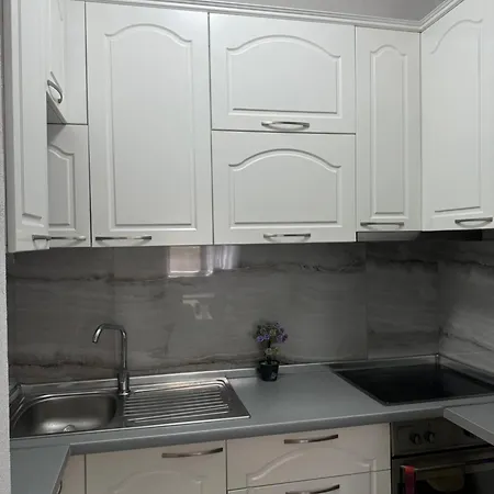 Apartment Modern For Rent In Tirana