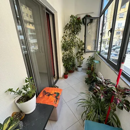 Modern For Rent In Apartment Tirana